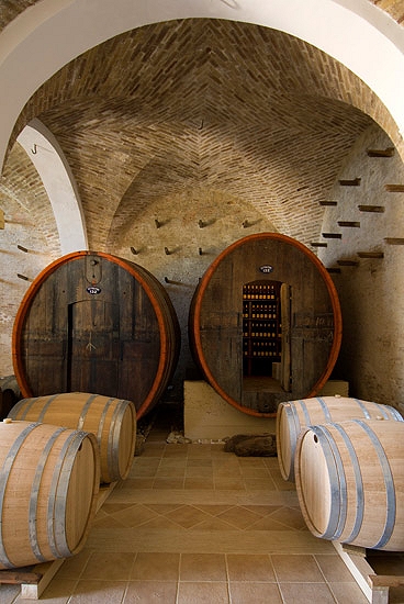 ciavolich-vini-abruzzesi-