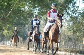 endurance-cavallo-34