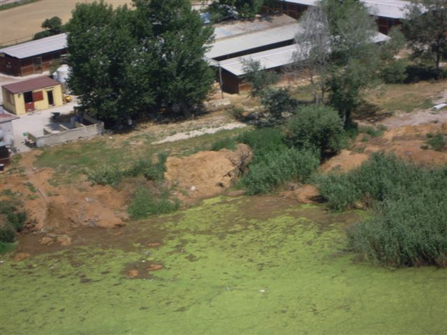 Forestale area sequestrata
