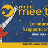 MEETING 2012