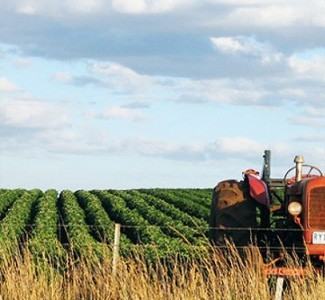 agricoltura-trattore