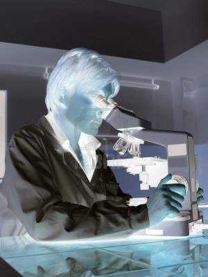 microscopio