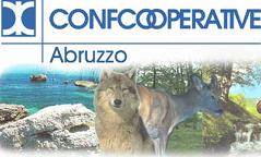 Confcooperative Abruzzo
