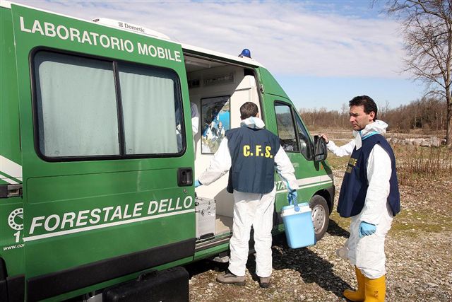 Ufficio stampa CFS - NPA NICAF (16)