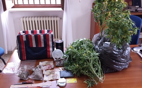 marijuana Bucchianico
