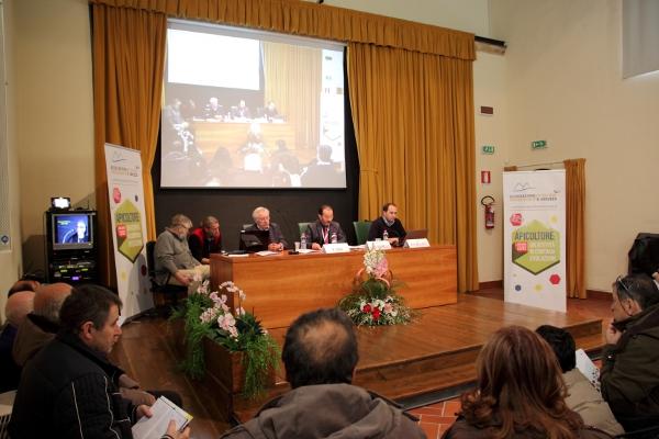 seminarioapicoltorilanciano05