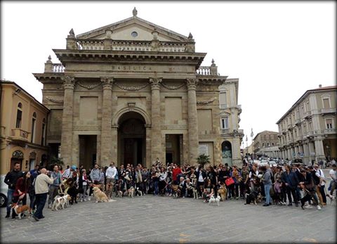 lanciano passeggiata canina