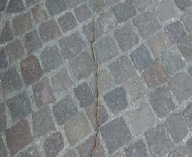 processionaria