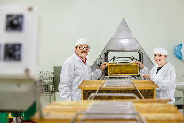 Luca Finocchio azienda