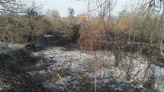 Incendio colposo Rapino