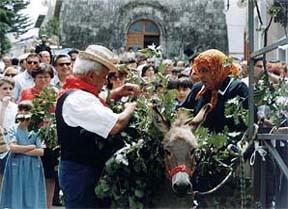 lupo (1)