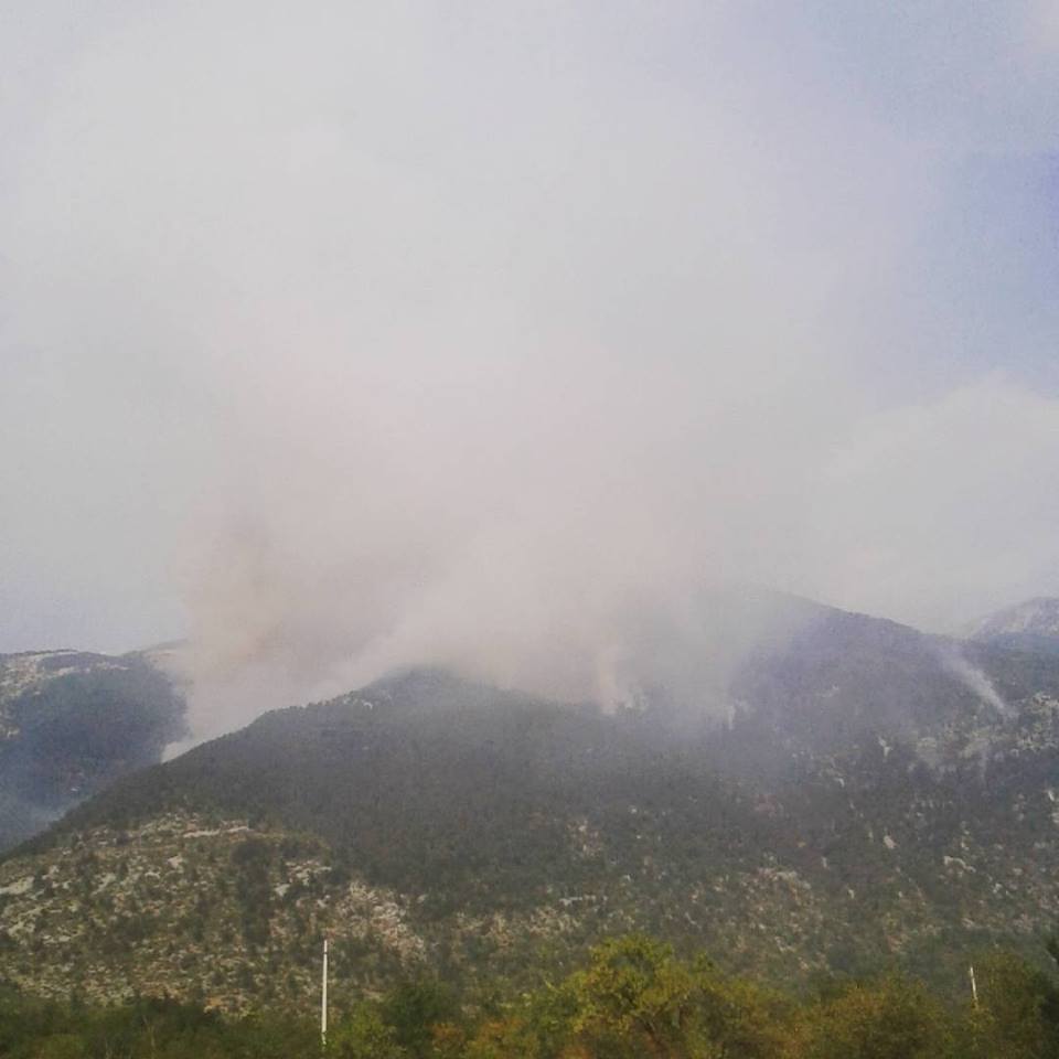 Morrone2