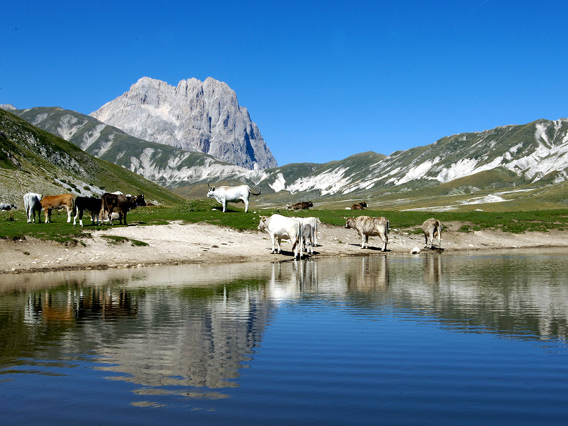 Parco Gran Sasso Laga