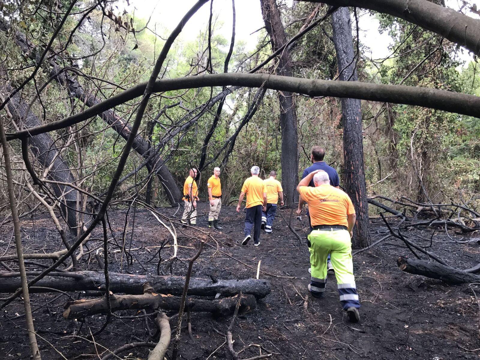 Pescara sopralluogo pineta dopo incendio