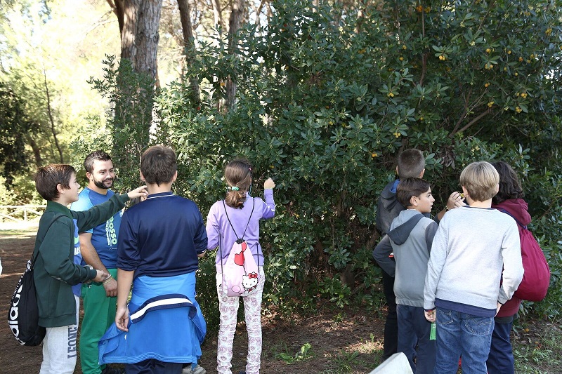 Pescara riserva visite
