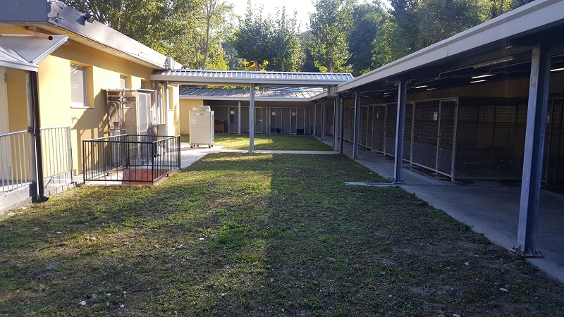 canile sanitario provinciale