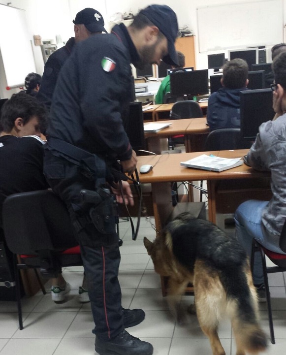 CANE IN AZIONE SCUOLA