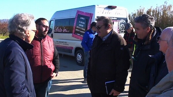 Borrelli e genio civile