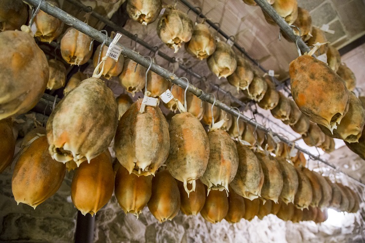 Ventricina del Vastese (4)