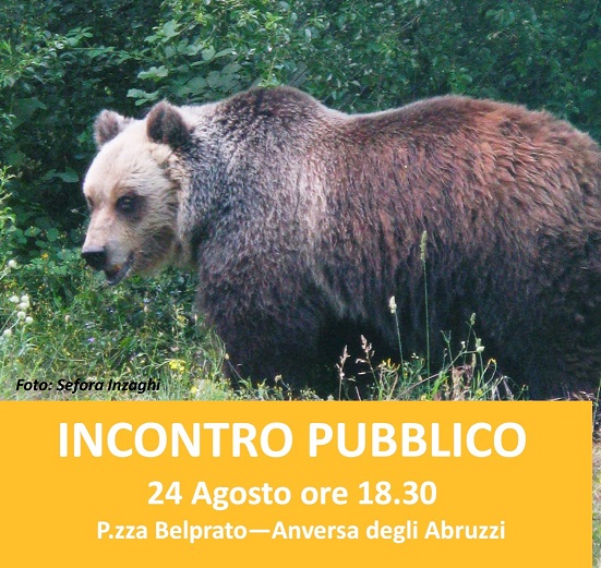 Orso Anversa