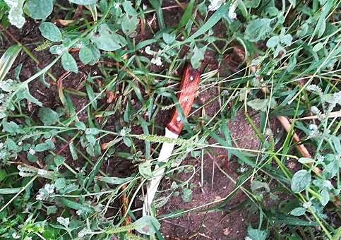 Il-coltello-ritrovato-in-un-campo-dai-carabinieri
