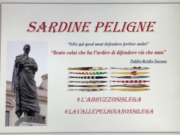 sardine peligne