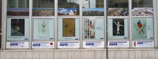 Avis Vastese