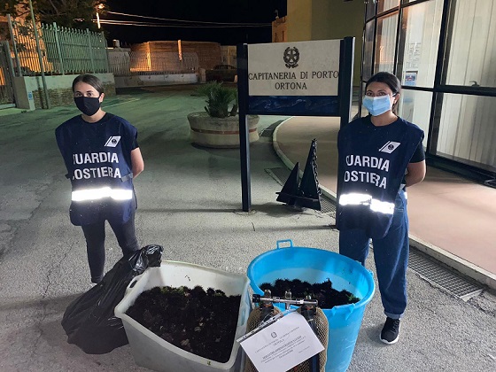 Sequestro_Ricci-Ortona