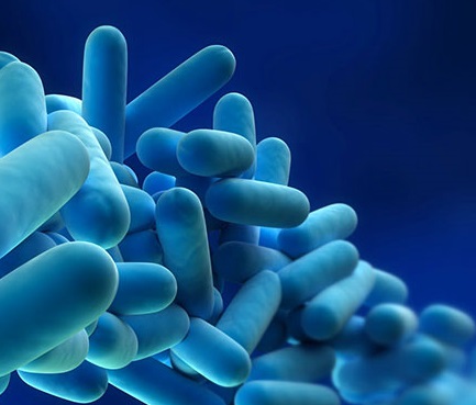 batterio Legionella