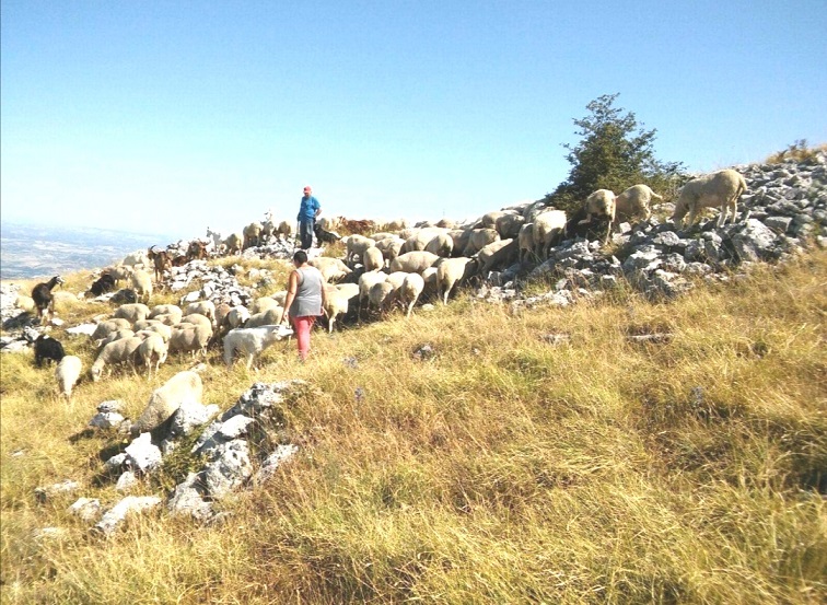 Parco_Majella
