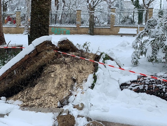 AI Viali albero Lanciano
