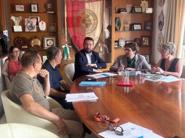 Campitelli Vasto Progetto Pinqua