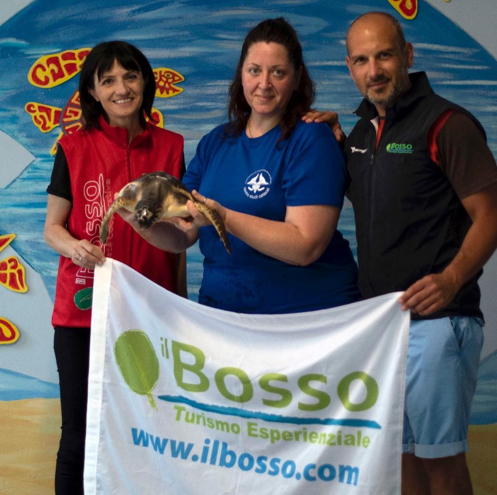 Il-Bosso_tartaruga