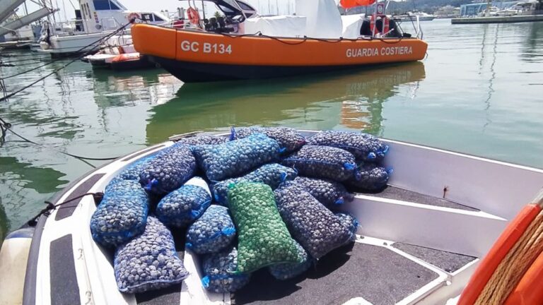 25.-Sequestro-230-kg-vongole