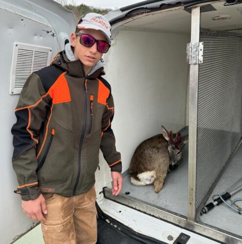 Ragazzo salva capriolo