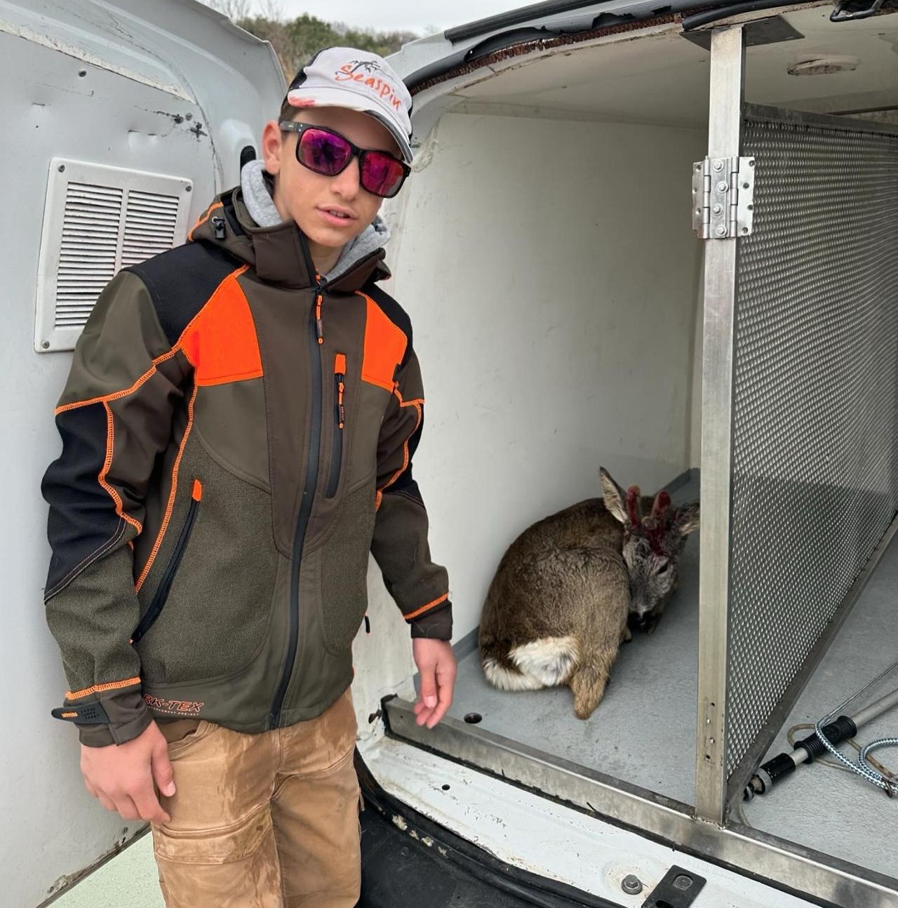 Ragazzo-salva-capriolo