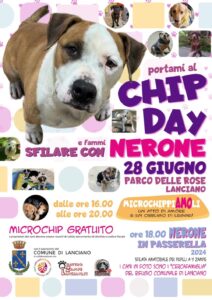 CHIP-DAY-NERONE-IN-PASSERELLA