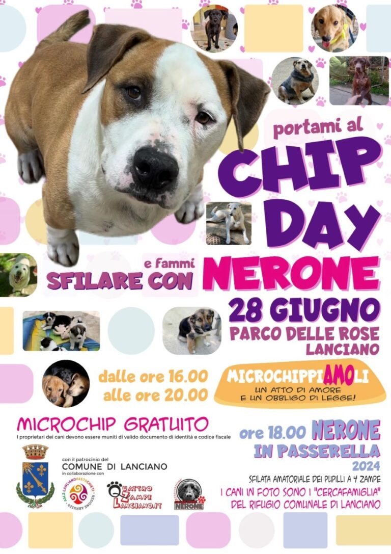 CHIP-DAY-NERONE-IN-PASSERELLA