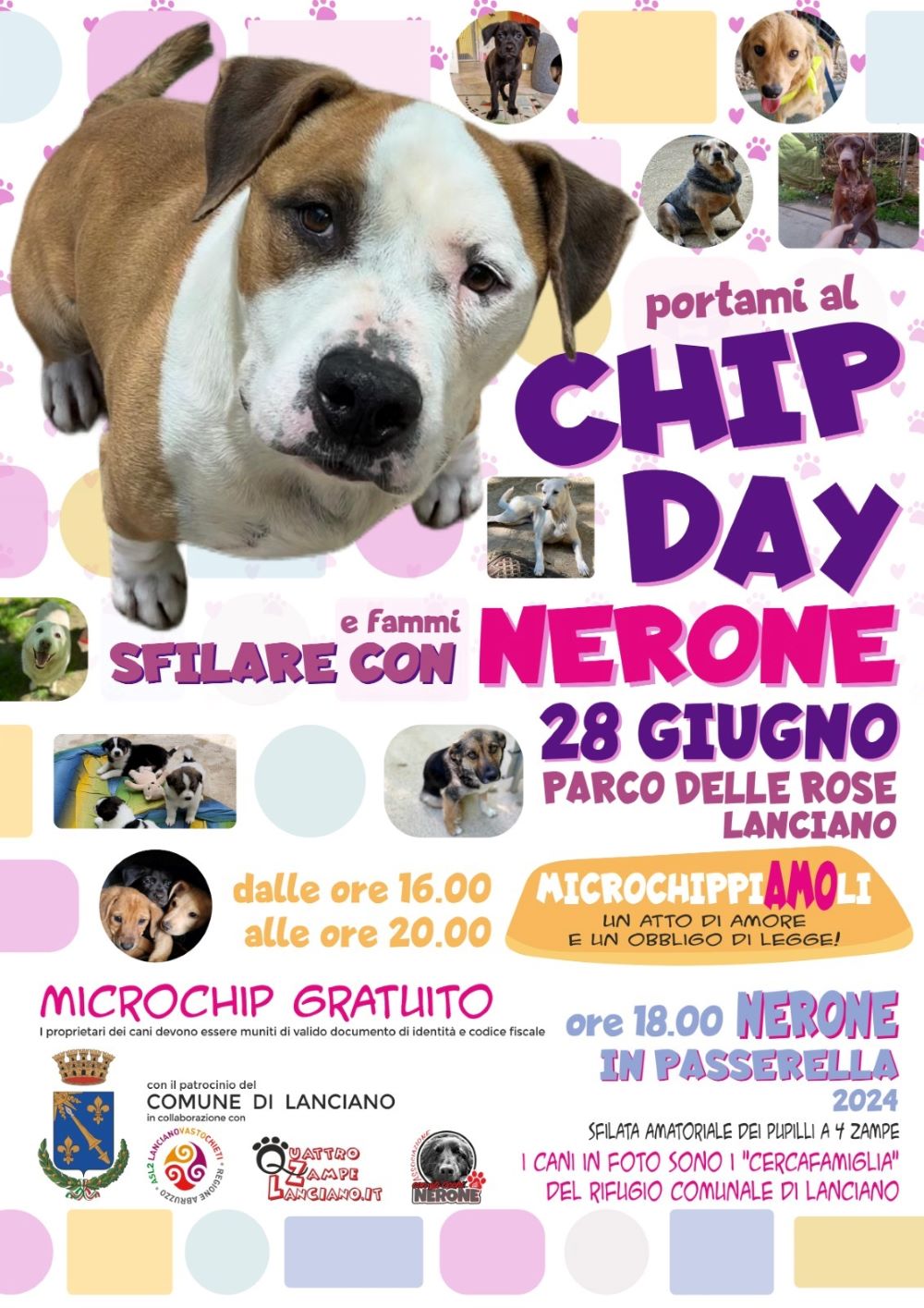 CHIP-DAY-NERONE-IN-PASSERELLA