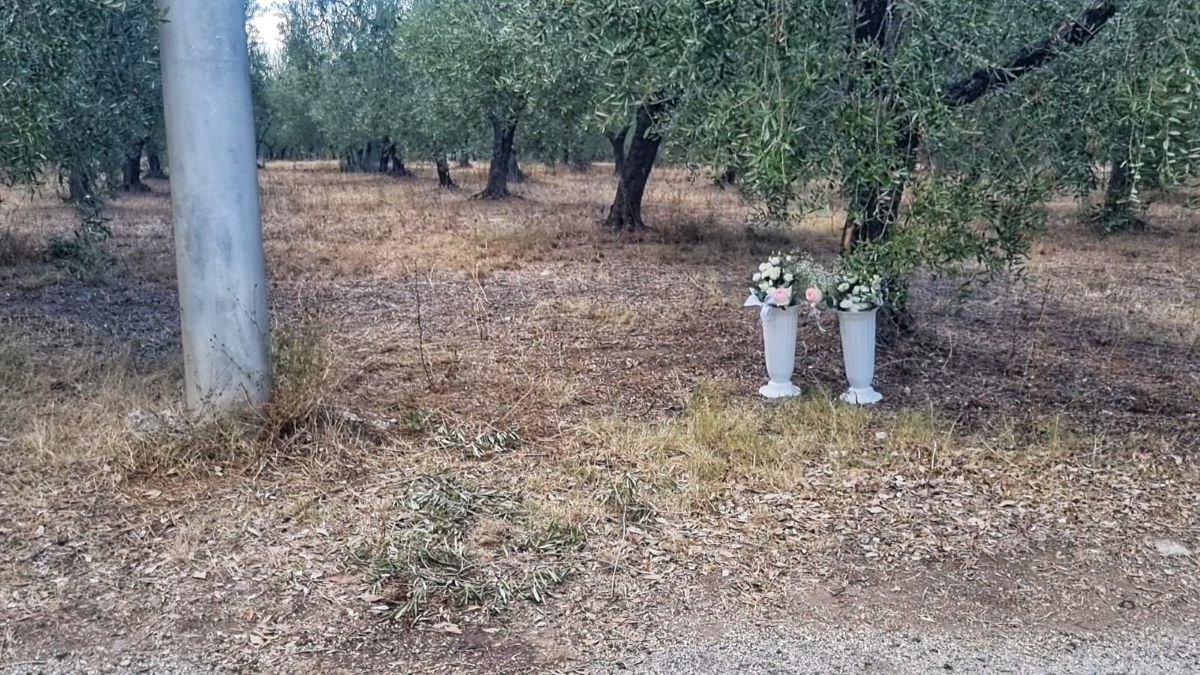 luogo incidente moto dei due ragazzi