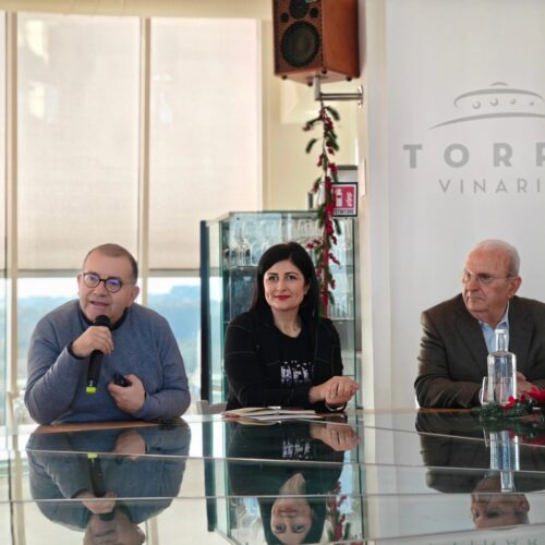 torre vinaria bilancio dic 24 Di Biase Romanelli