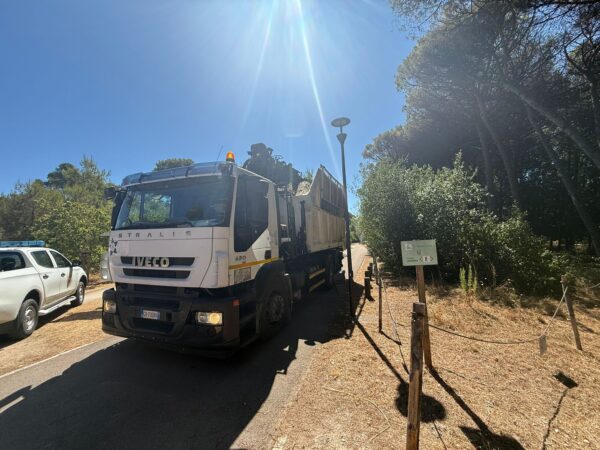 Pineta Pescara dopo incendio luglio25