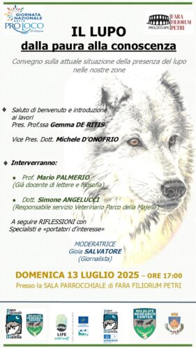 WhatsApp Image 2025 07 08 at 21.14.55