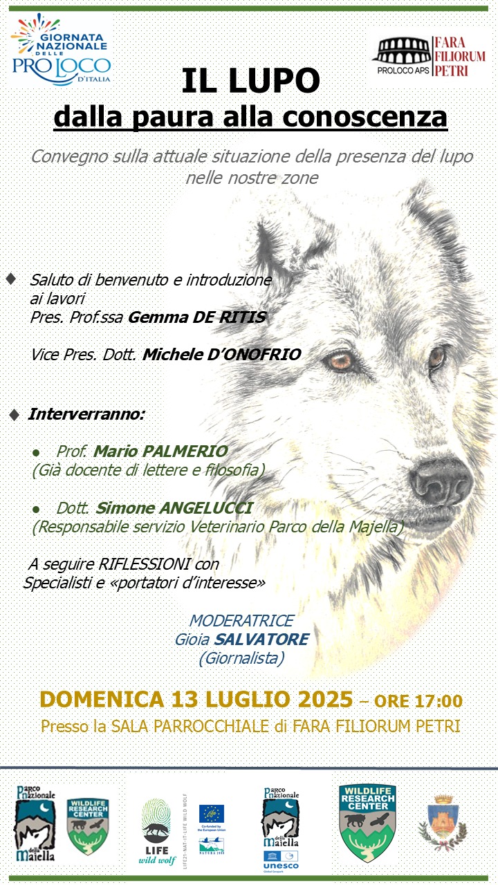 WhatsApp Image 2025-07-08 at 21.14.55