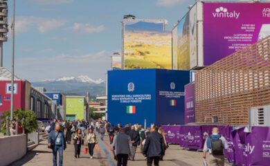 Vinitaly-shot-4