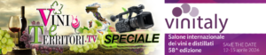 banner-Vini-e-Territori-SPECIALE-Vinitaly-k