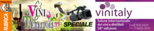 banner-Vini-e-Territori-SPECIALE-Vinitaly-k2