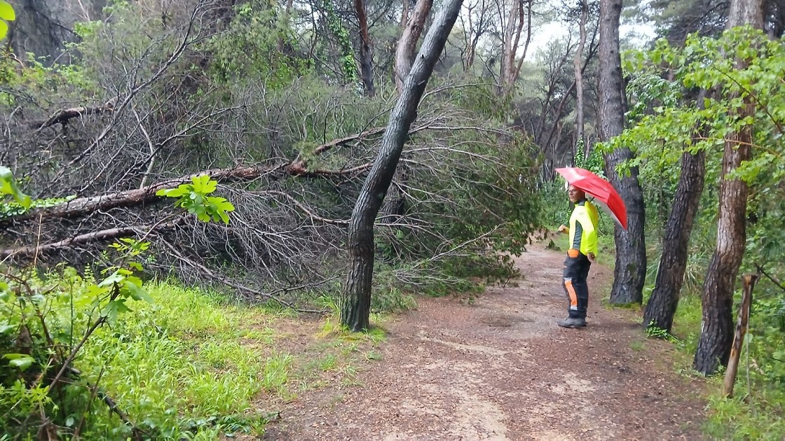 Pineta Pescara sopralluogo