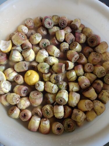 Carciofi