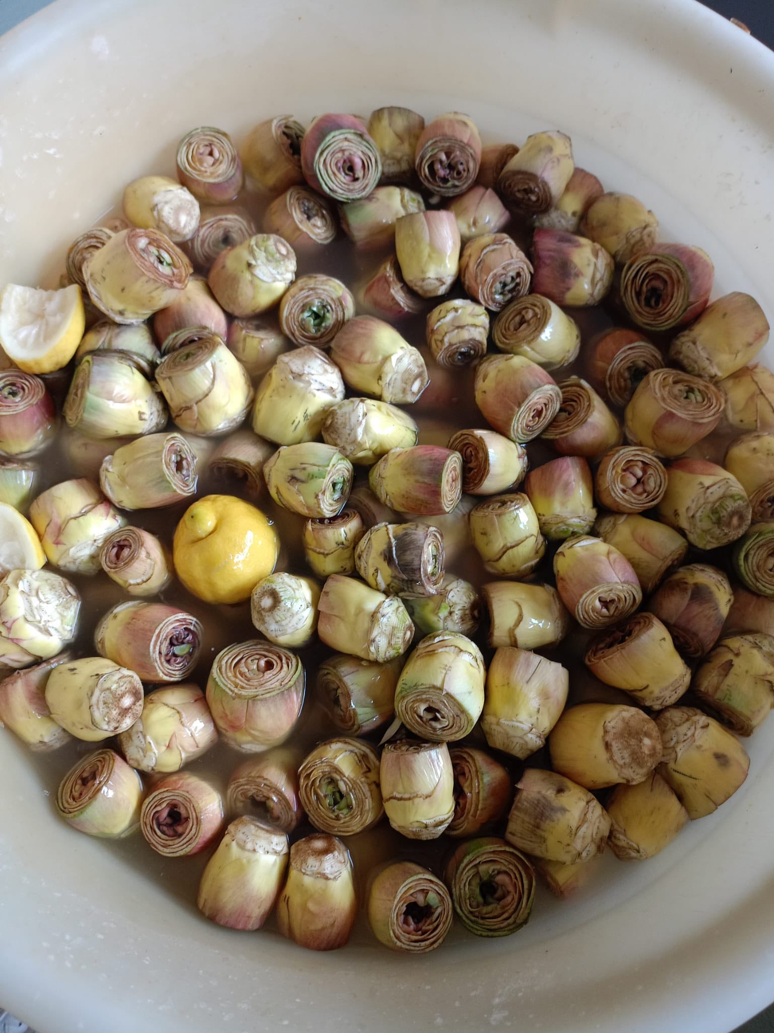 Carciofi